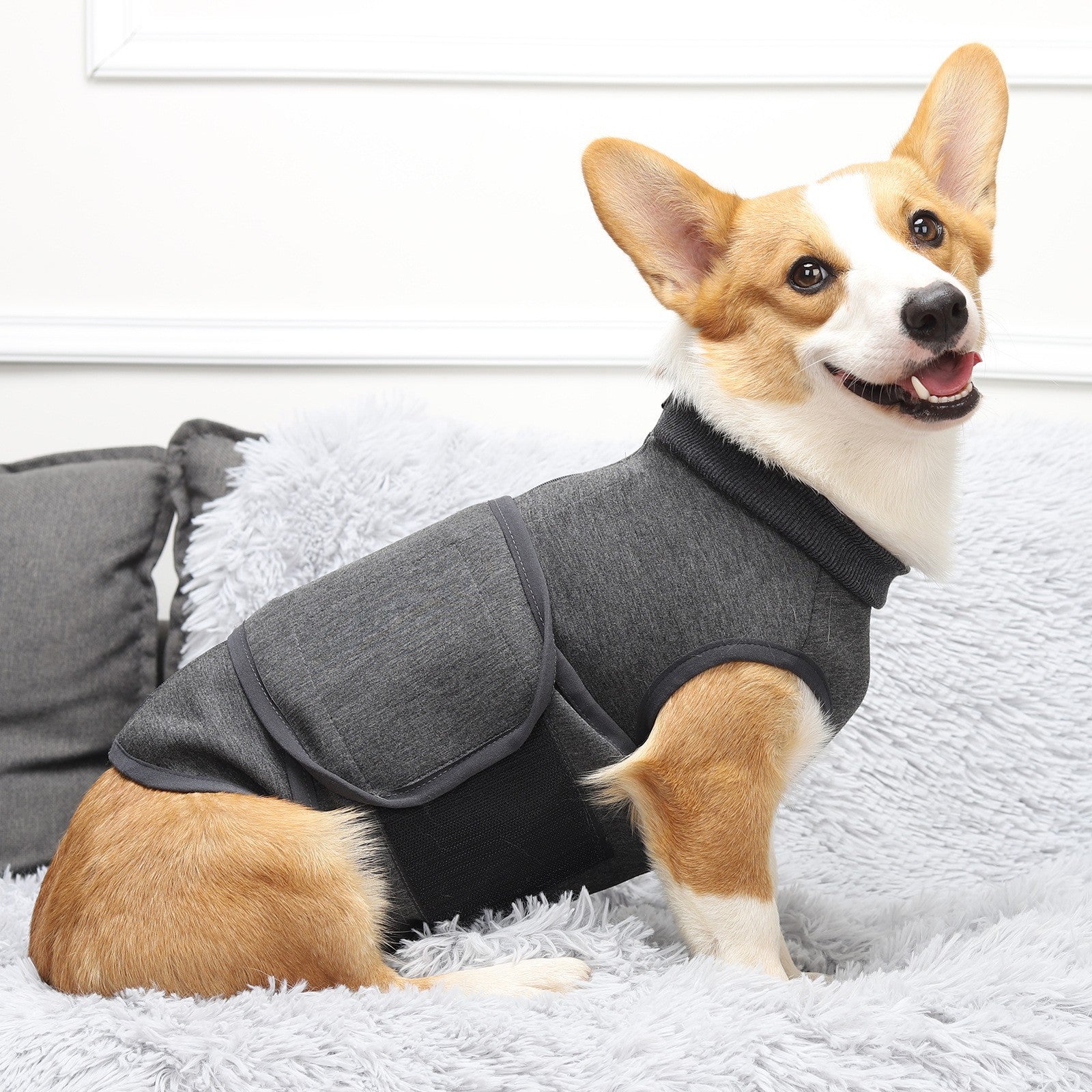 Keep Your Pet Cozy with the Polyester Comfort Cotton Double-Layer Jacket